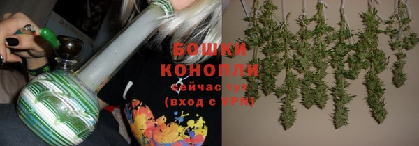мдпв Лагань
