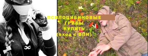 мдпв Лагань