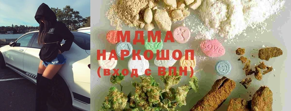 сатива Лабытнанги